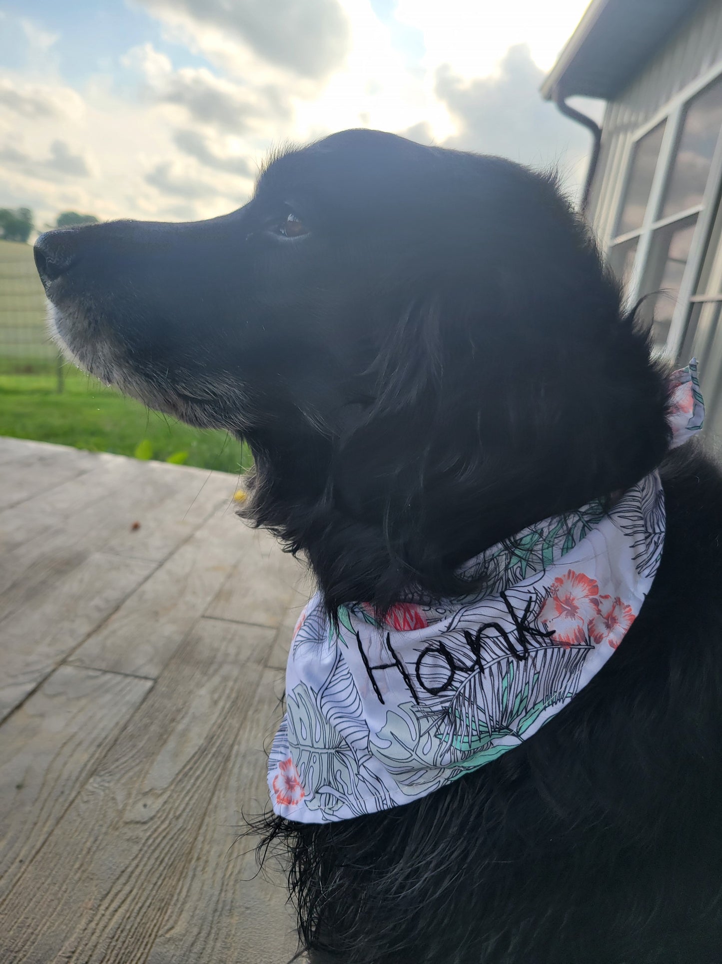 Personalized Dog Bandanas
