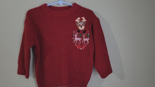 Reindeer Sweater with Pocket-2T